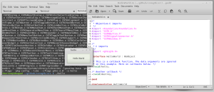 Hello World in action